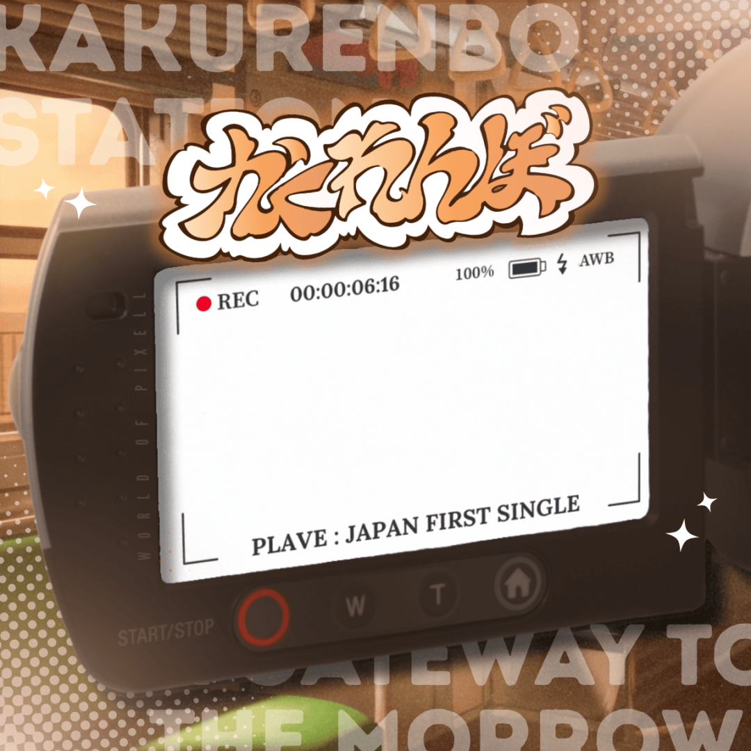 Frame Preview