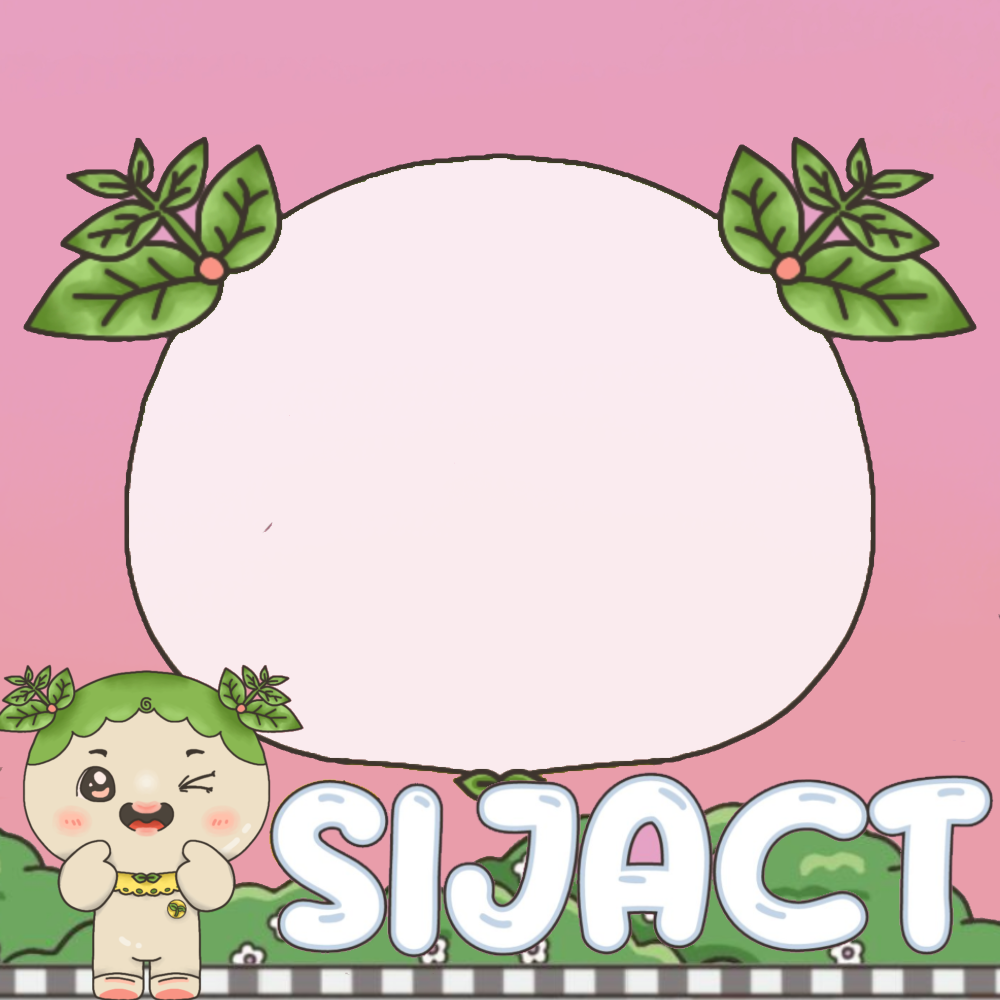 Frame Preview