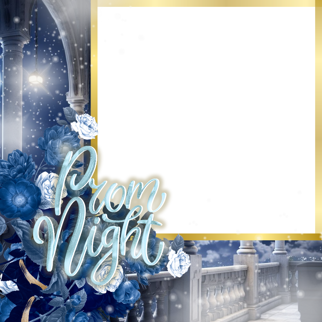 Frame Preview