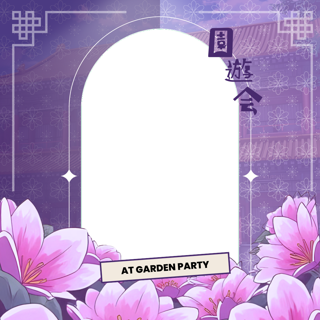 Frame Preview