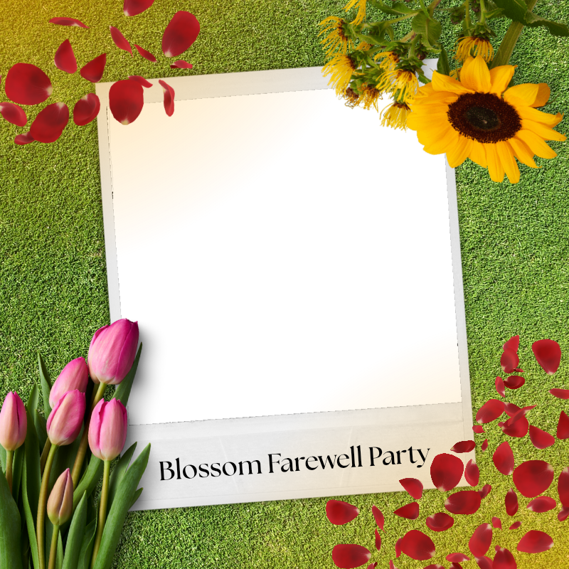 Frame Preview