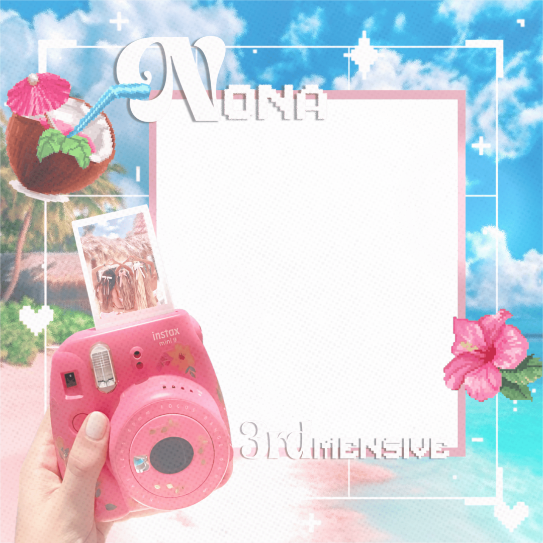 Frame Preview