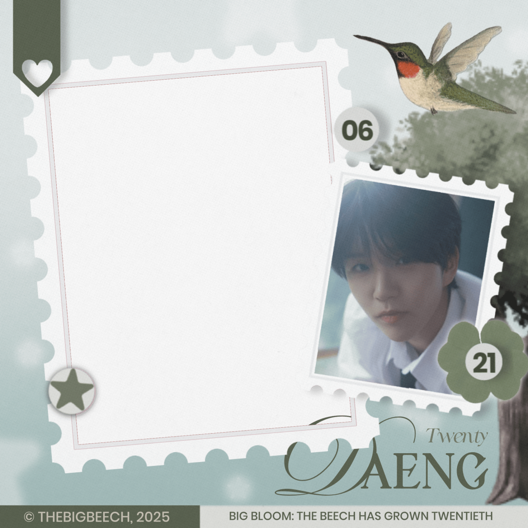 Frame Preview