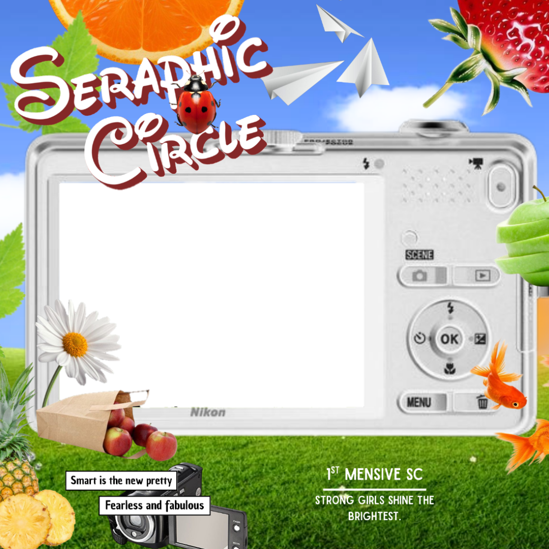 Frame Preview
