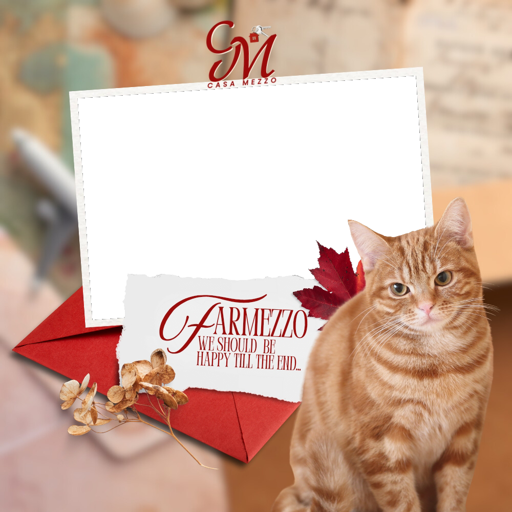 Frame Preview