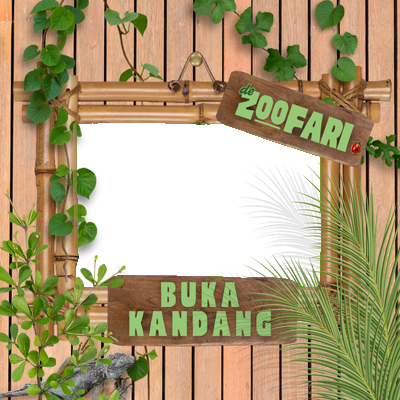 Frame Preview
