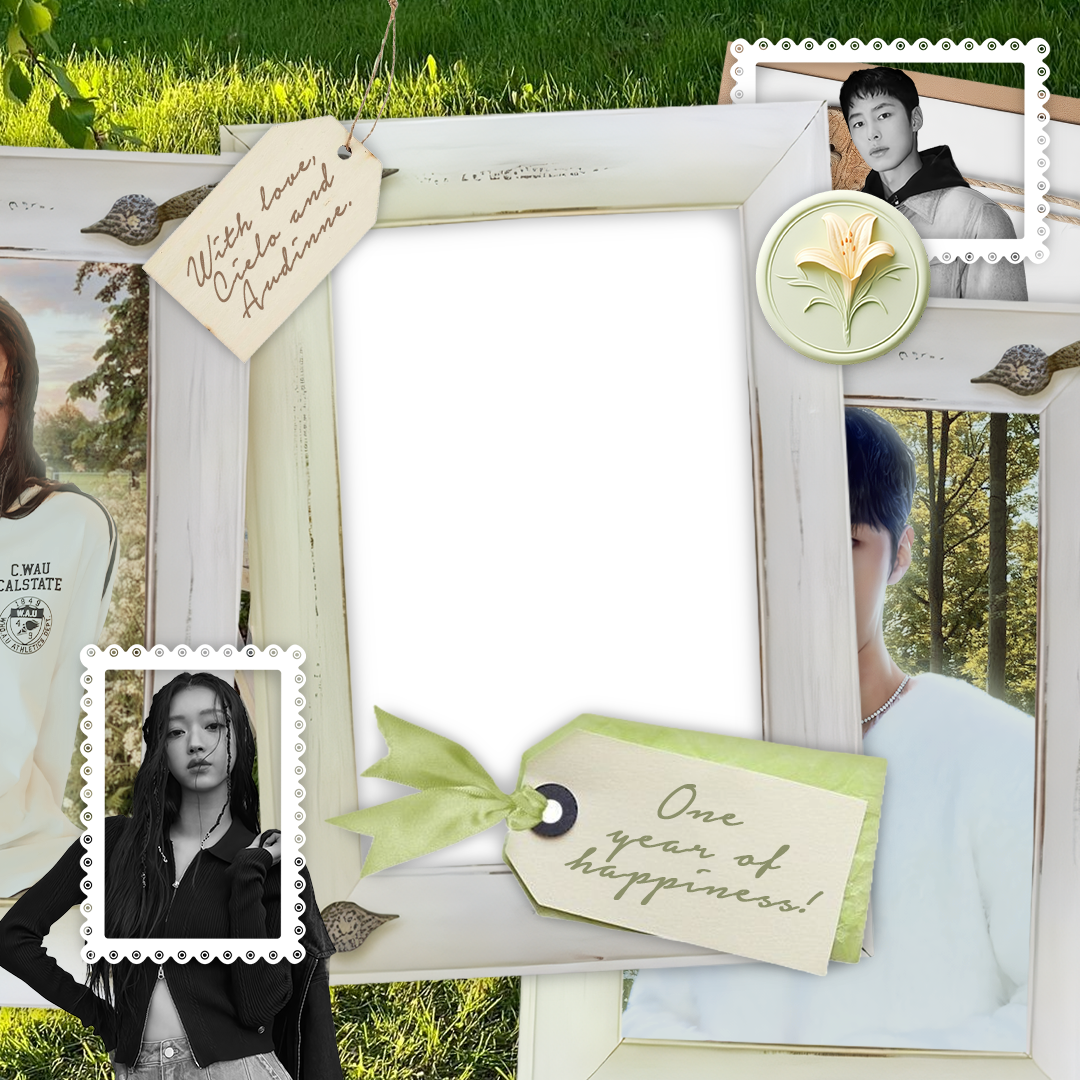 Frame Preview