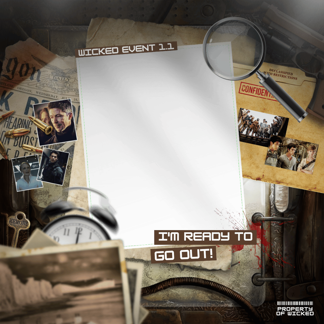 Frame Preview