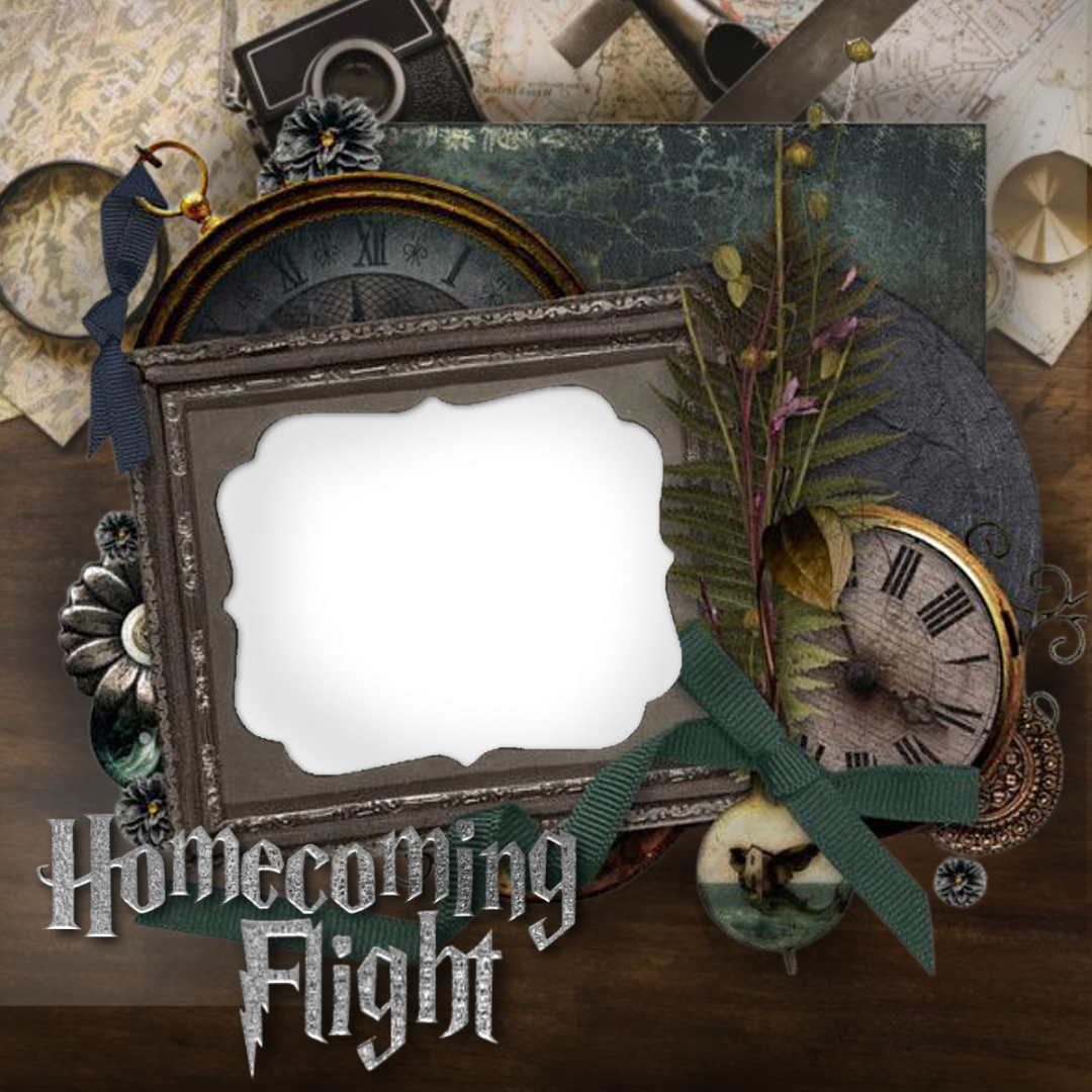 Frame Preview