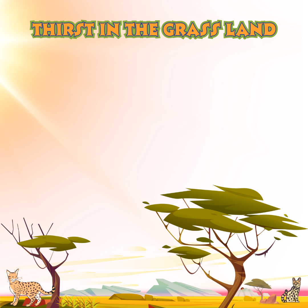 Frame Preview