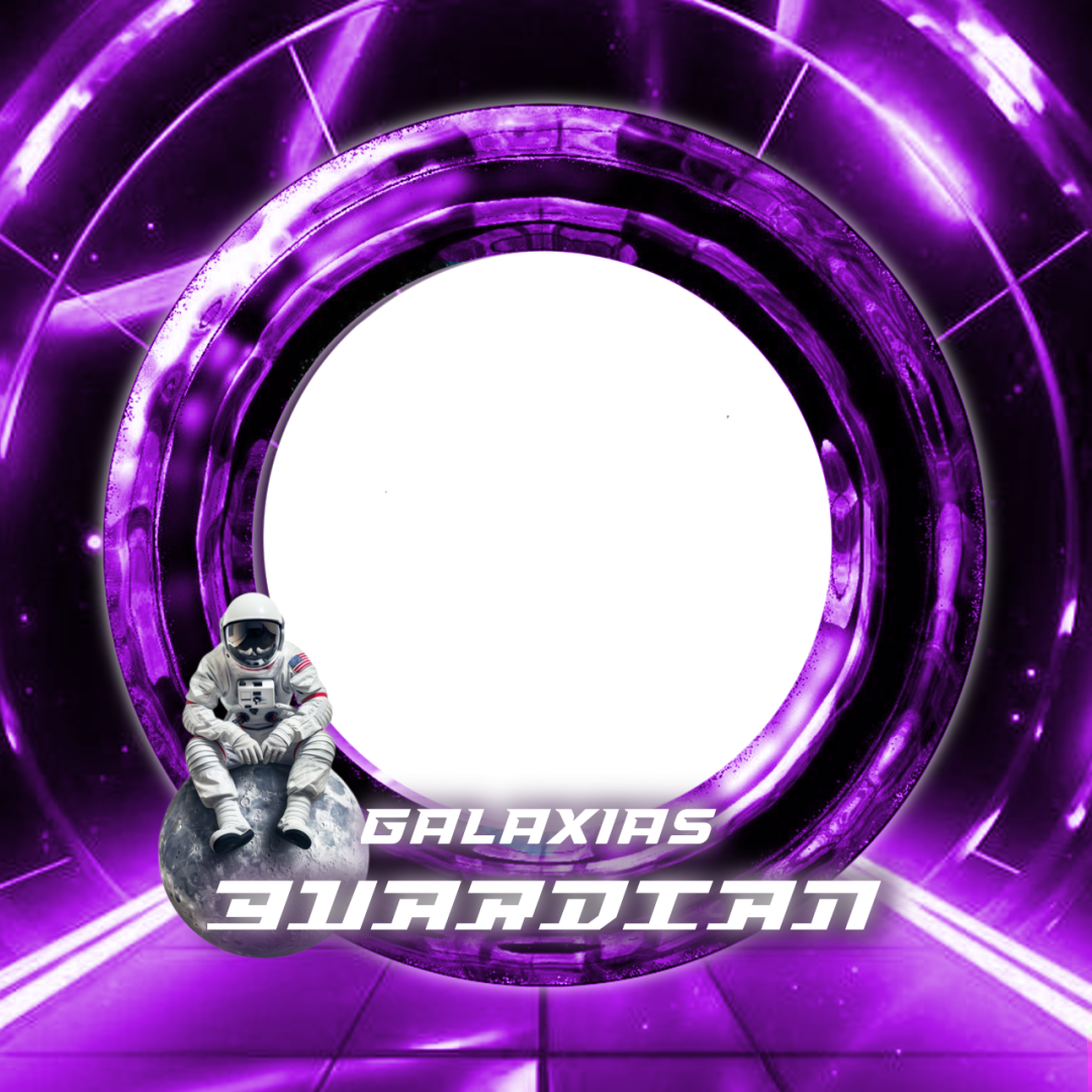 Frame Preview