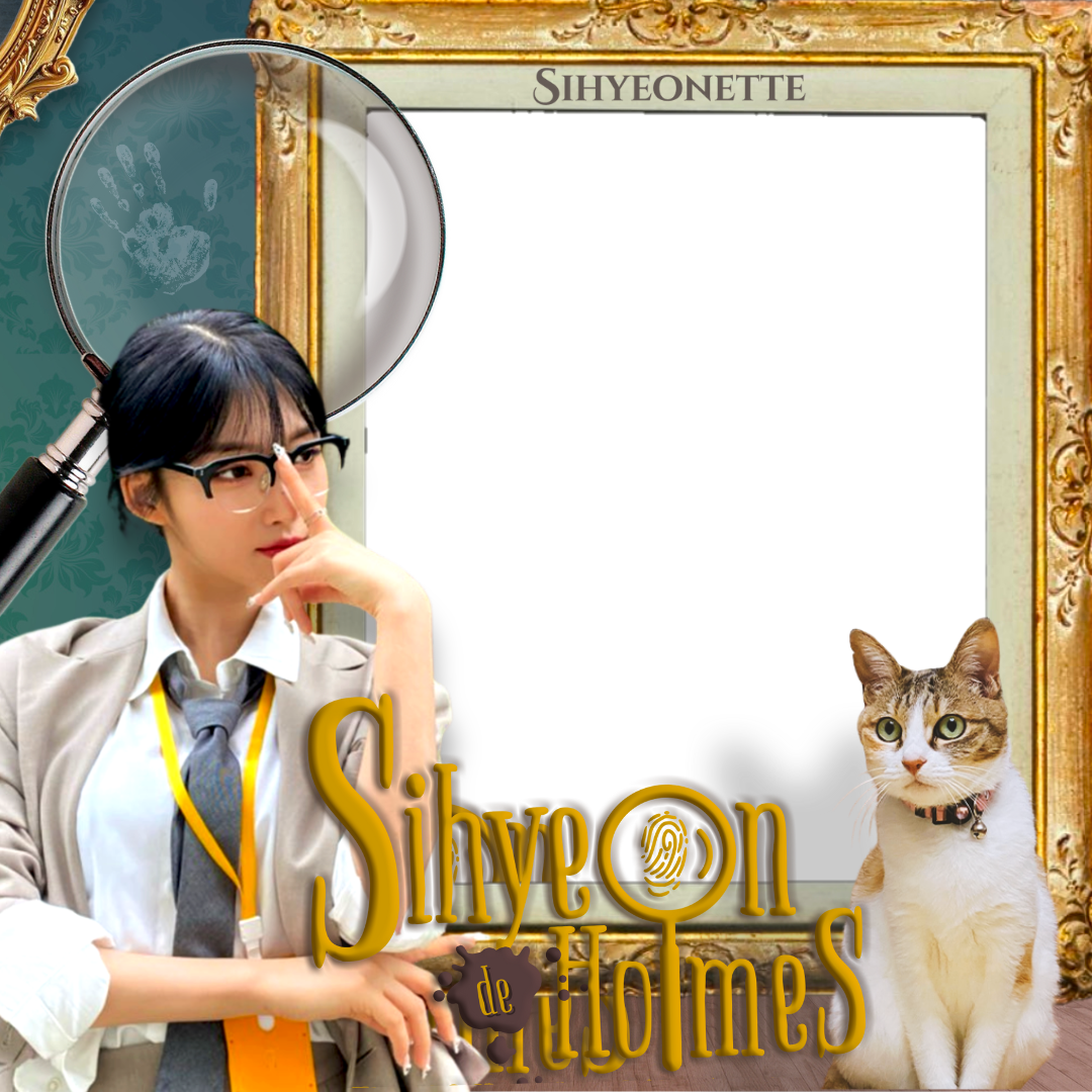 Frame Preview