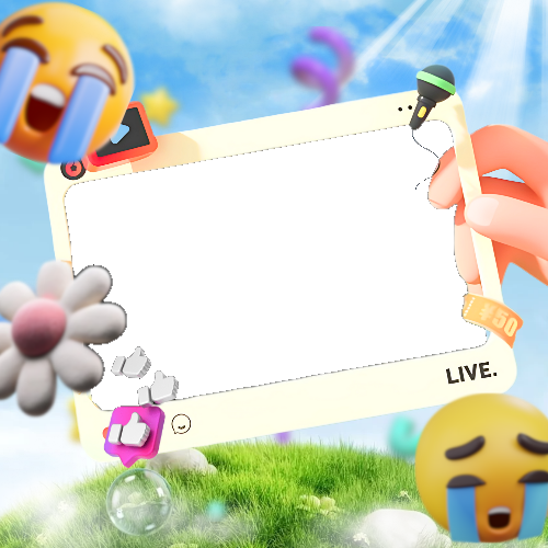 Frame Preview