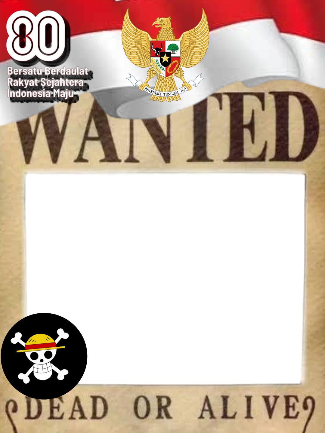 Frame Preview