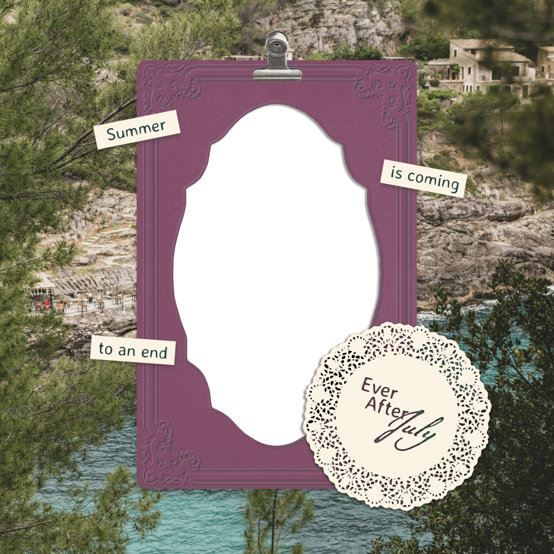 Frame Preview