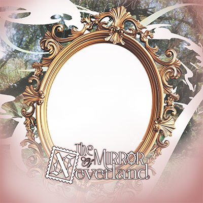 Frame Preview