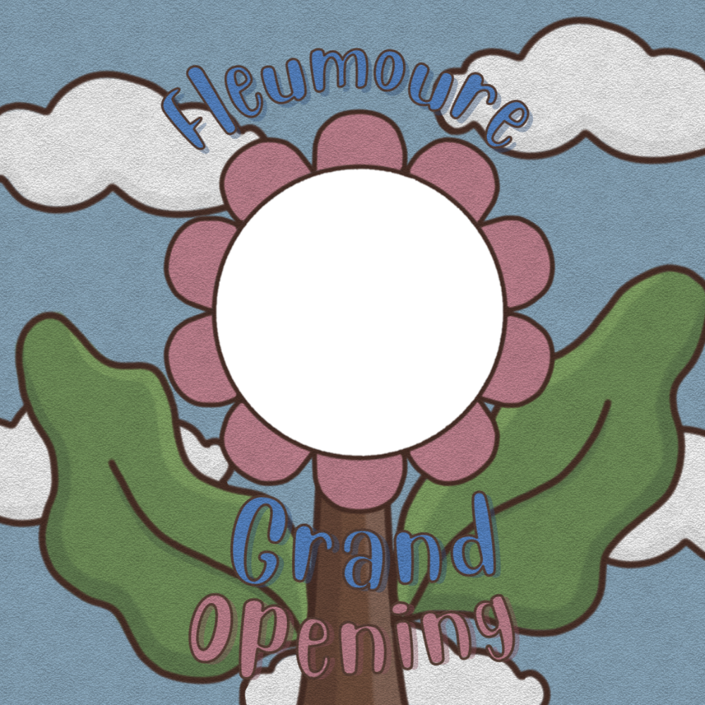 Frame Preview