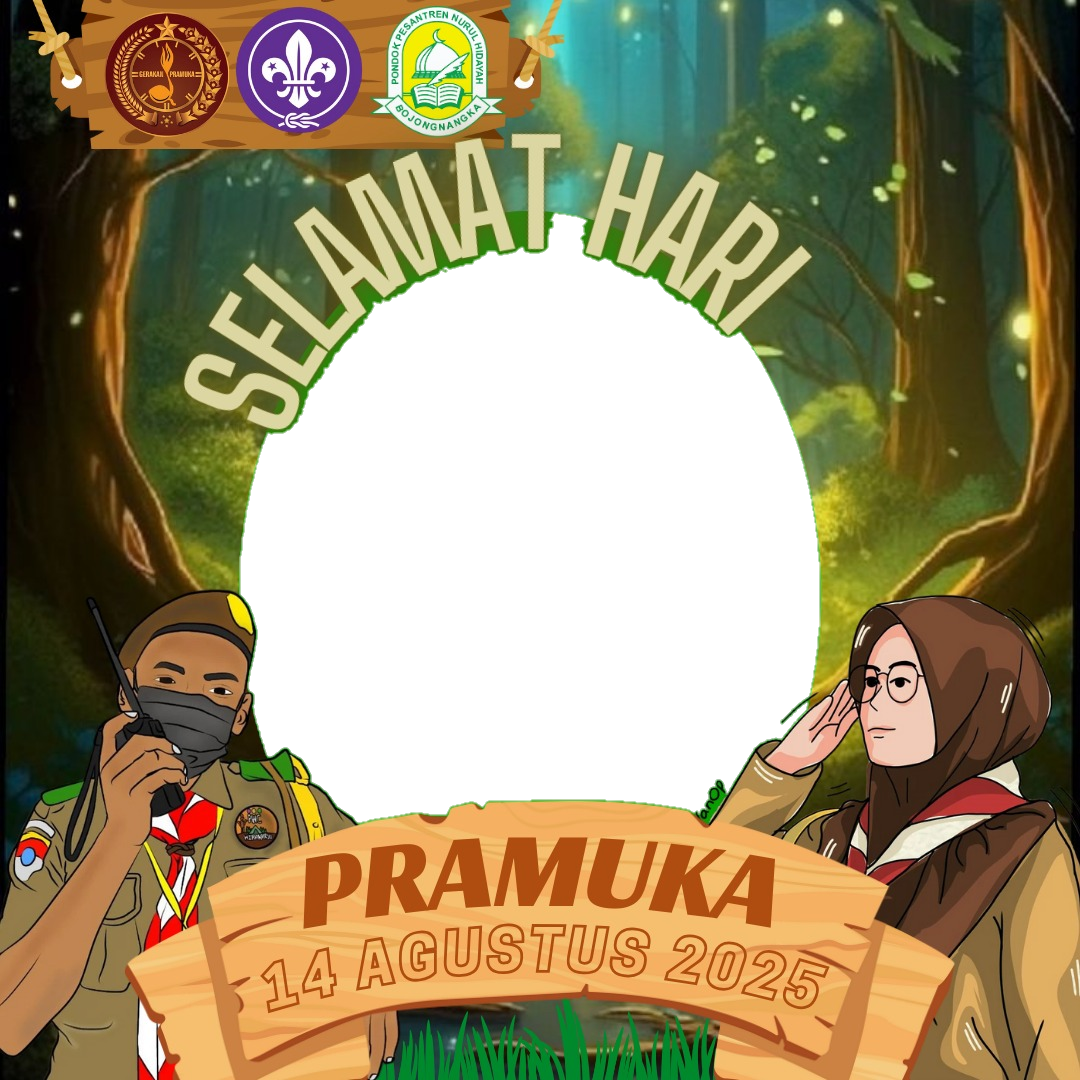 Frame Preview