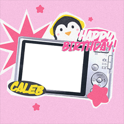 Frame Preview