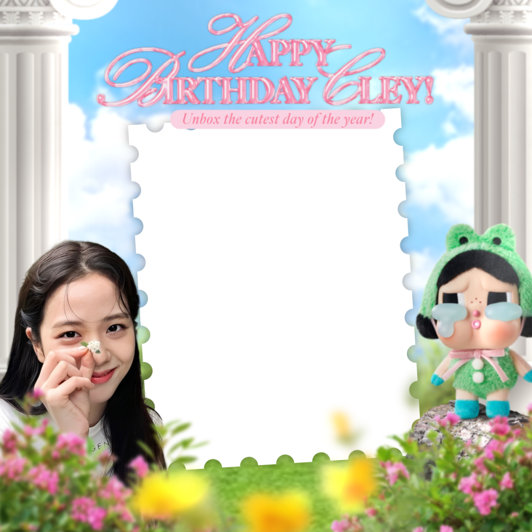 Frame Preview