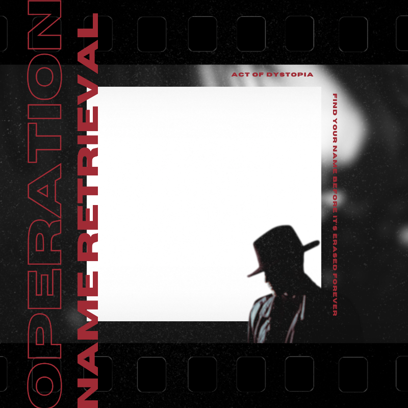 Frame Preview