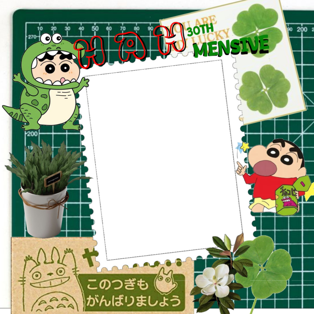 Frame Preview