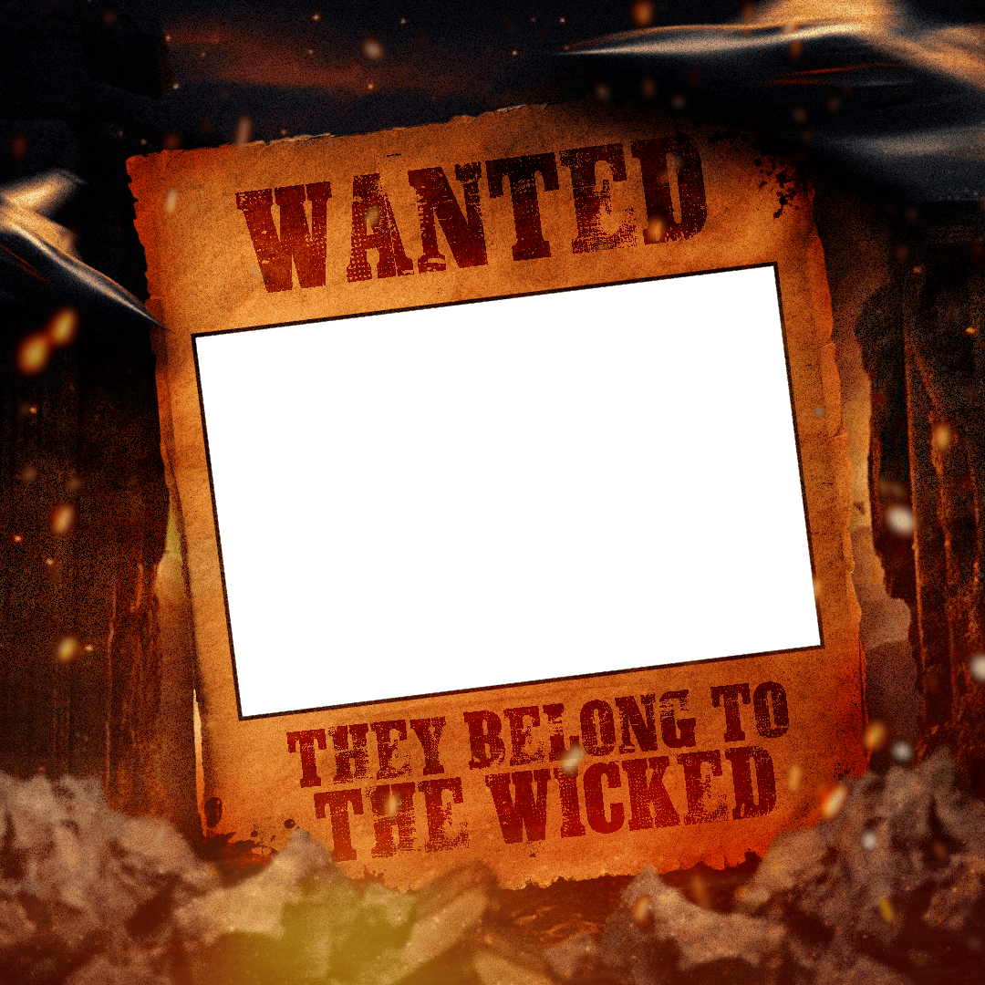 Frame Preview