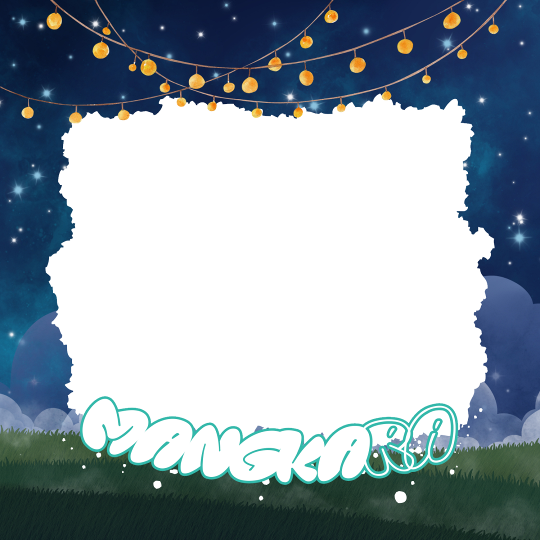 Frame Preview