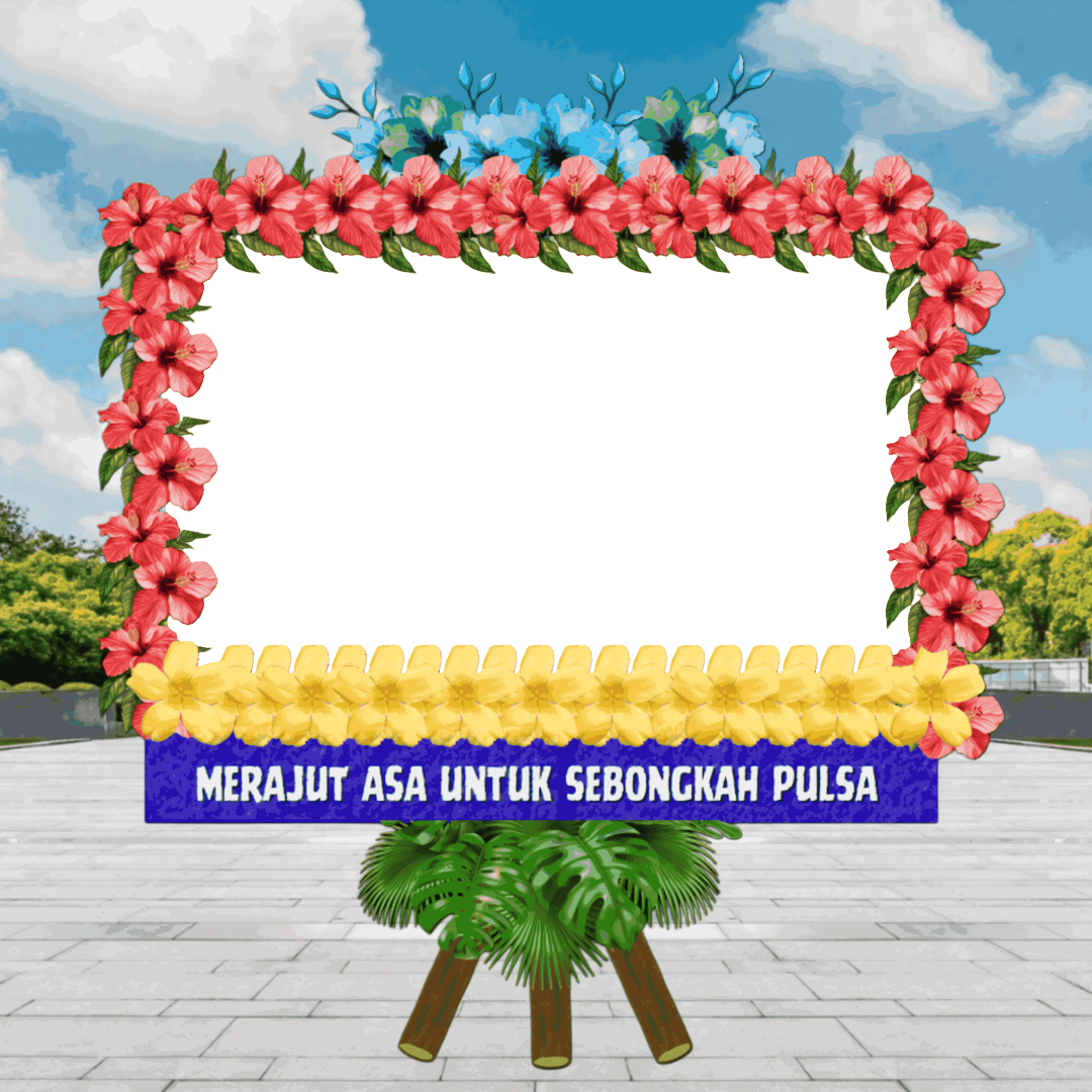 Frame Preview