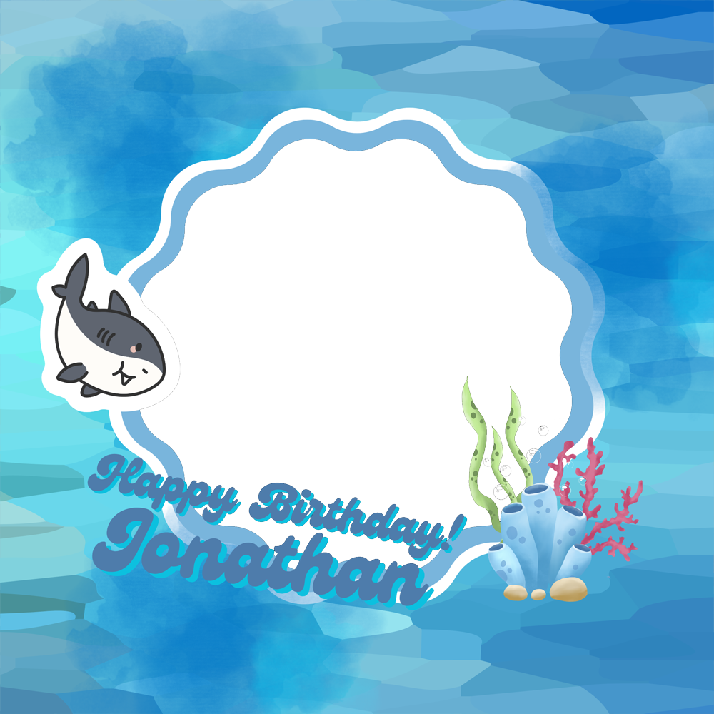 Frame Preview