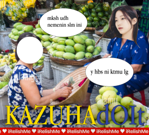 fribis dr zuha y