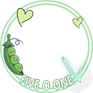 FIVE O ONE SUPPORT