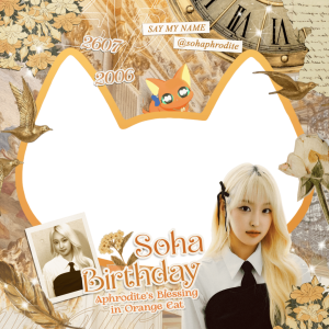 ฅ≽(•⩊ •マ≼ orange cat, soha birthday 🐈🧡