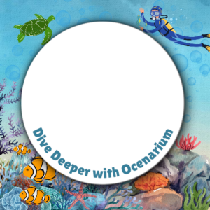 ofOcenarium Special Gift